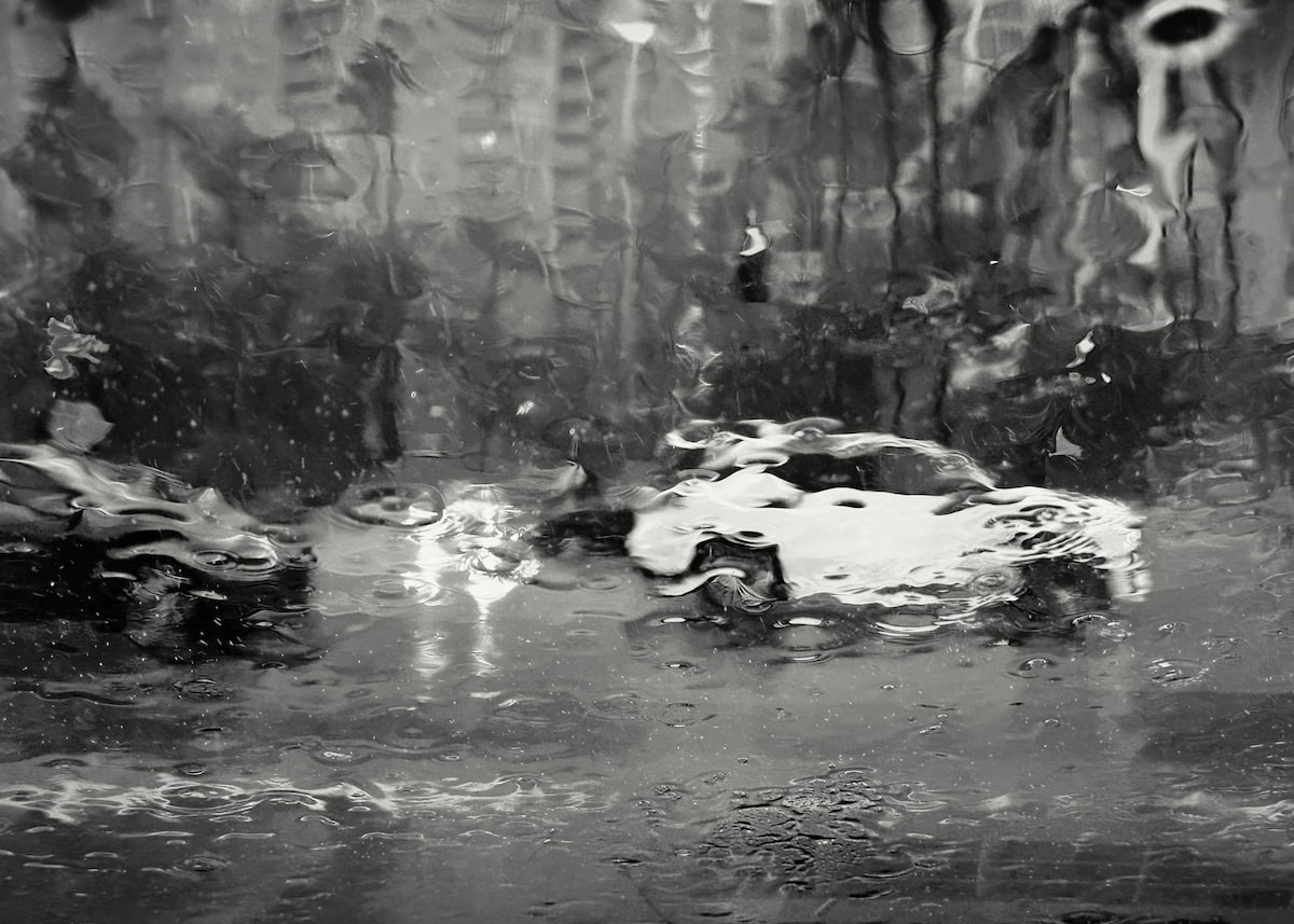 marin-del-rain