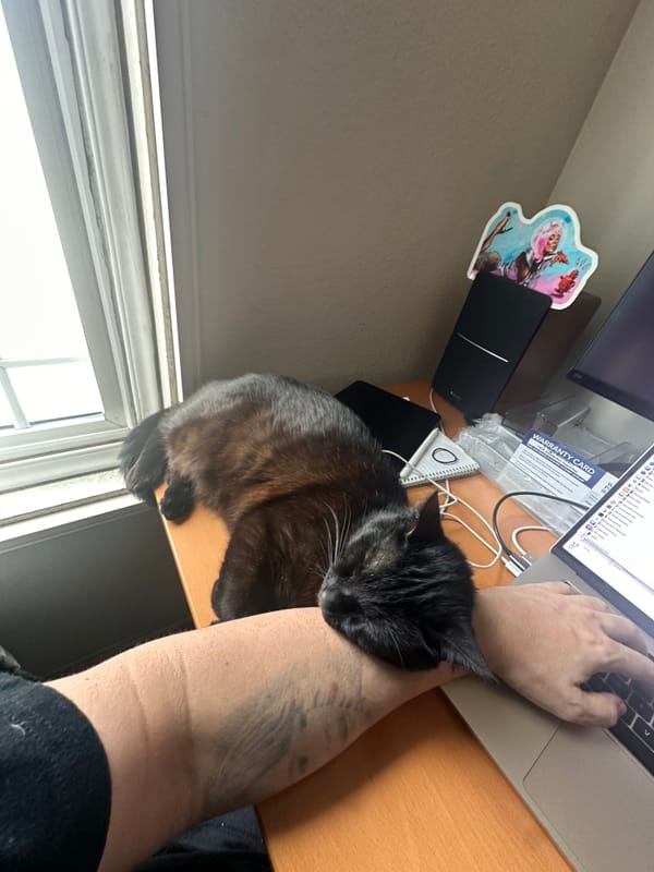 Bumper Sleeps