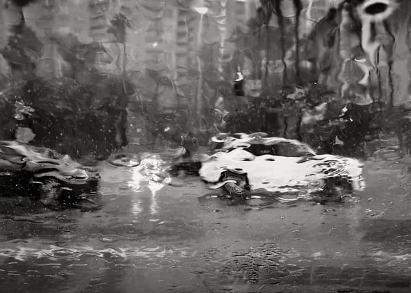 Marina Del Rain